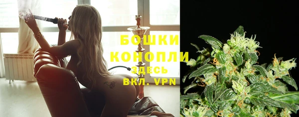 гидра Бородино