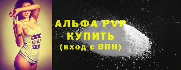 гидра Бородино