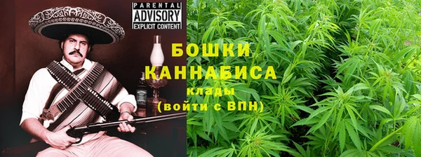 гидра Бородино