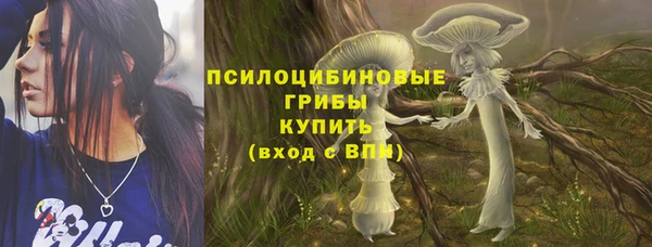 твердый Верея