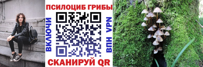 ссылка на мегу ссылка  Пересвет  Галлюциногенные грибы Magic Shrooms 